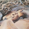 Paintings