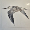 Arisaig Murals